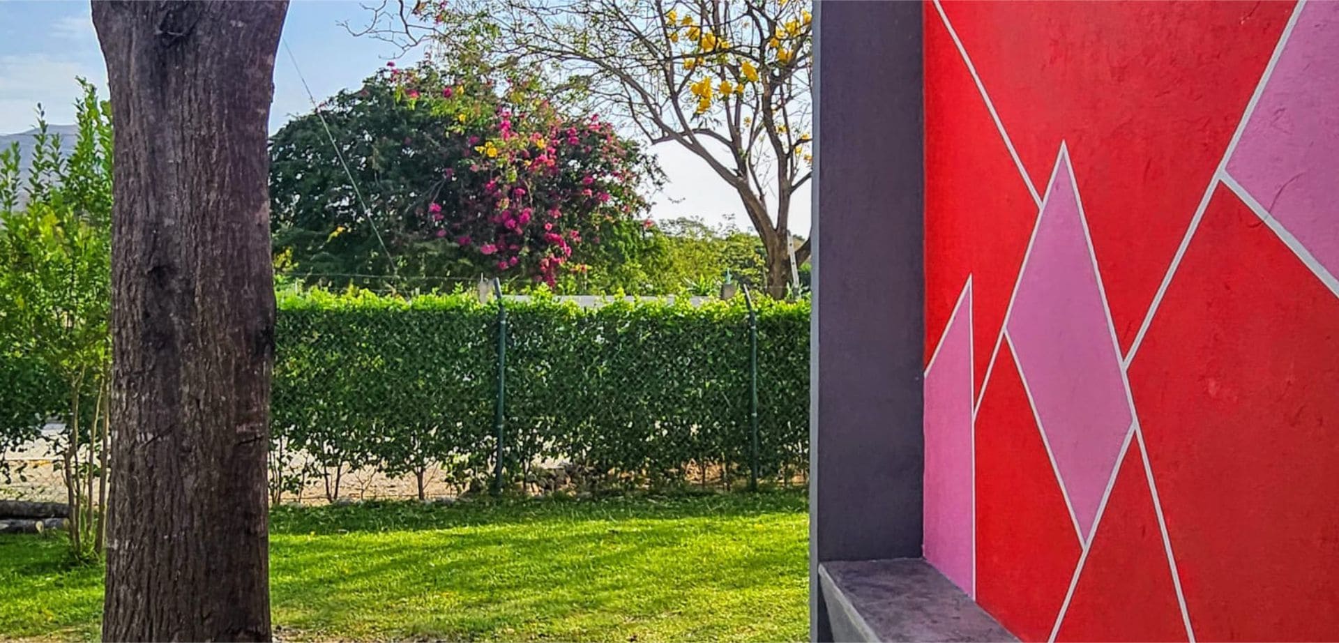 Colegio Smart