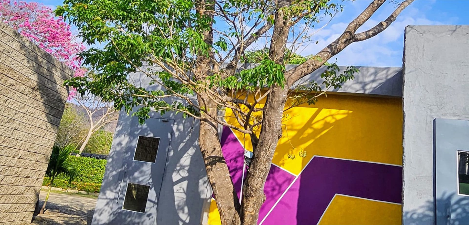 Colegio Smart