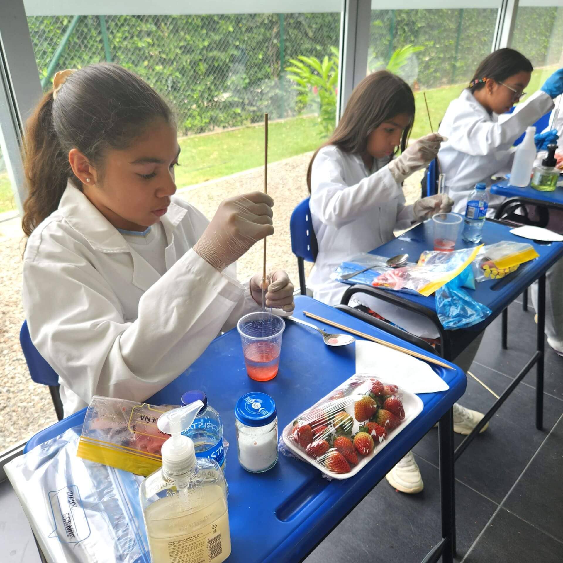 bachillerato_2